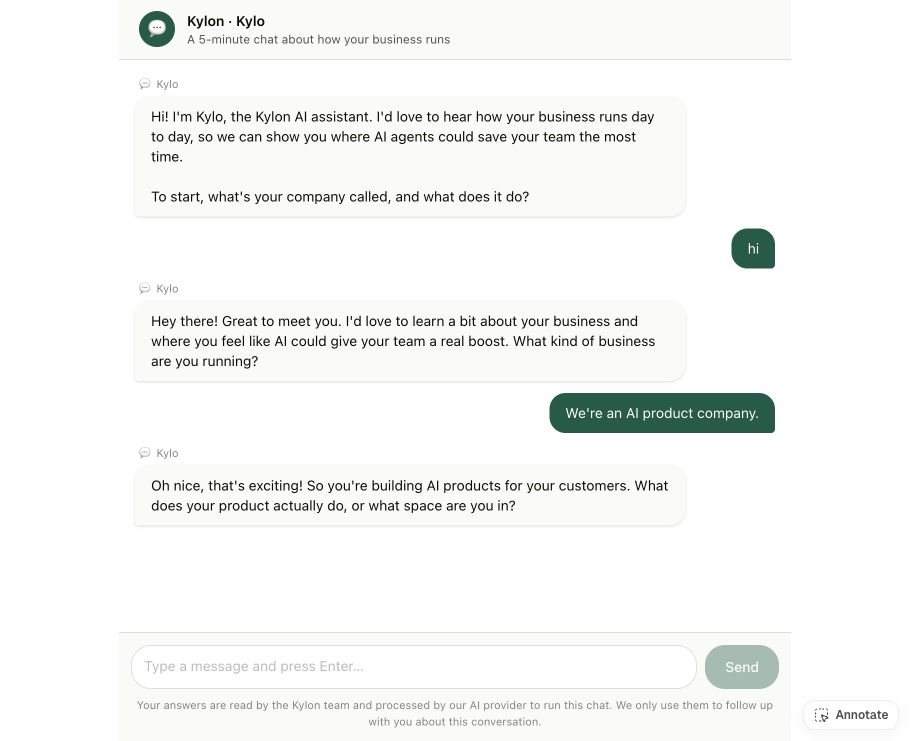 Workshop participant answering the AI discovery questionnaire in a conversation